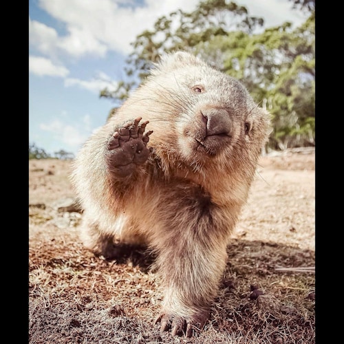 Australian. Married. Conservative. Ex RN/RM - 28 yrs I walked the walk.