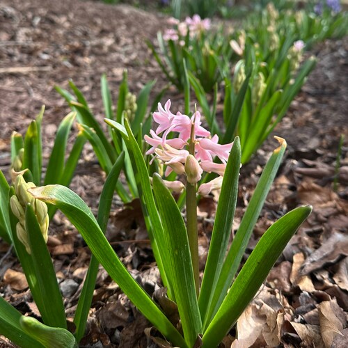 Visit Grace's profile on GETTR. View their posts, photos, videos, and connect with them on the social platform.