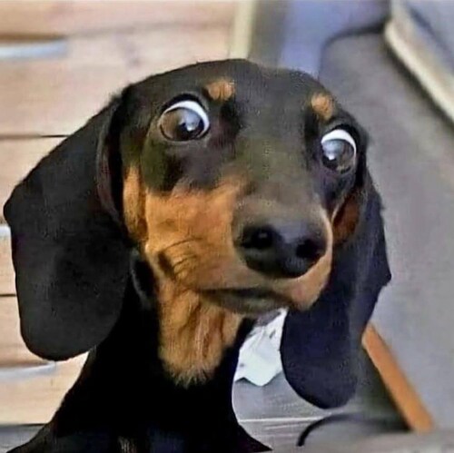 FB 🥚
Beule sucht Delle