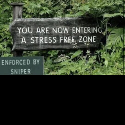 Visit mtc22's profile on GETTR. View their posts, photos, videos, and connect with them on the social platform.