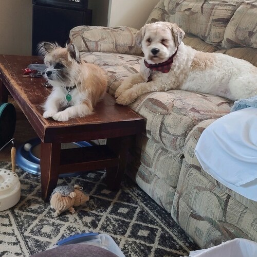 Visit Kevin84041377's profile on GETTR. View their posts, photos, videos, and connect with them on the social platform.