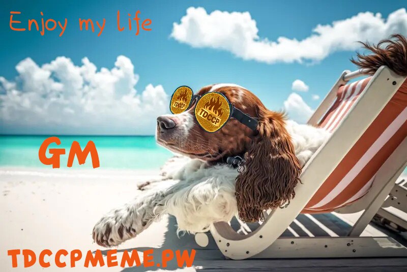 GM!☀️🏖️
HODL…RIDING THE WAVES OF VOLATILITY 🏄🔥🔥🔥
#TDCCP #TDCCPMEME 
