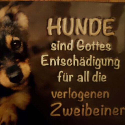 Congratulations Amerika!
