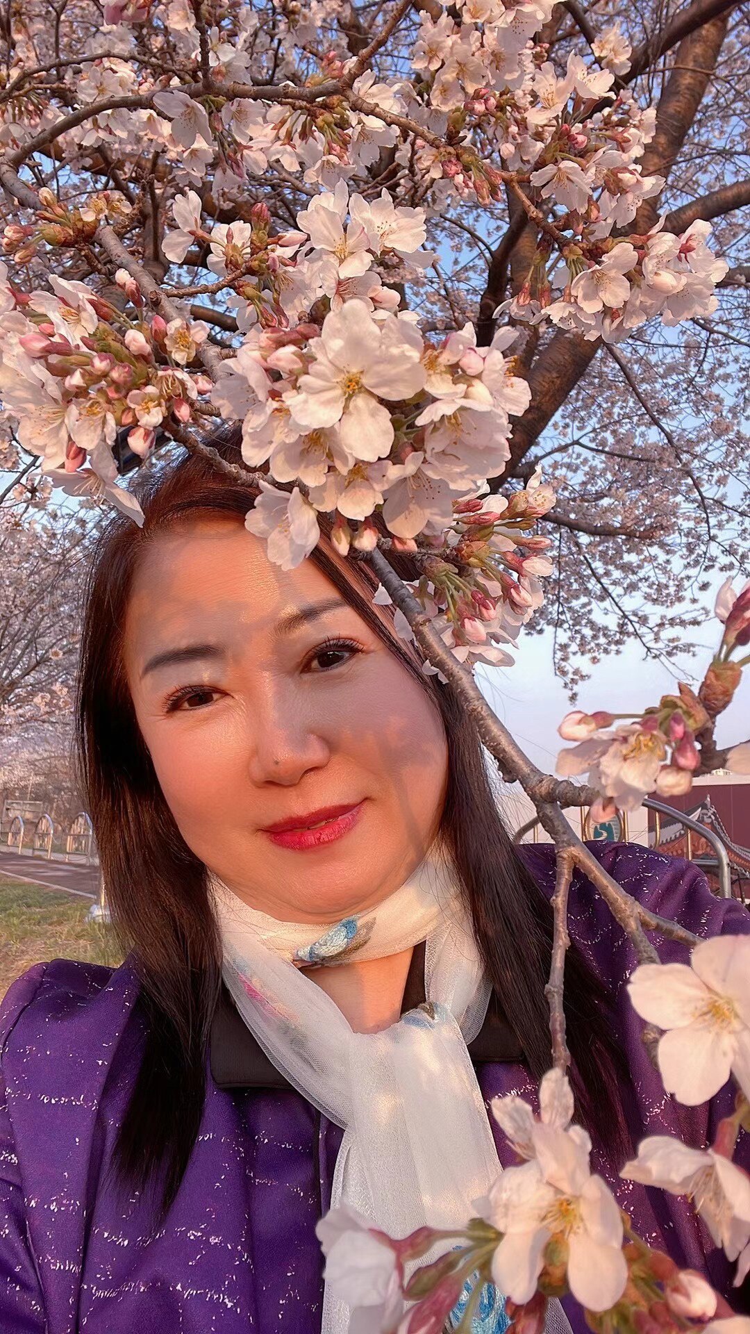 在杏树上嫁接桃枝
不但可以吸取杏树的养分
还可以摘到好吃的桃子
这样既不伤杏树的主体又能够节省挂桃的时间