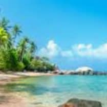 Visit Sophia's profile on GETTR. View their posts, photos, videos, and connect with them on the social platform.