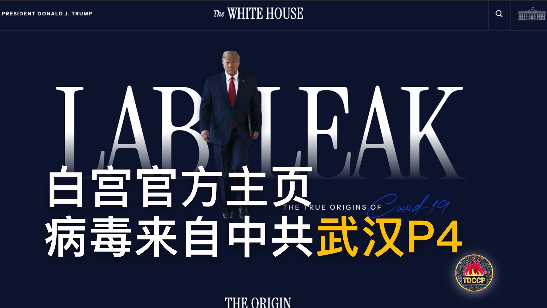 此刻，盘古时间： #2025年4月19日 #419
