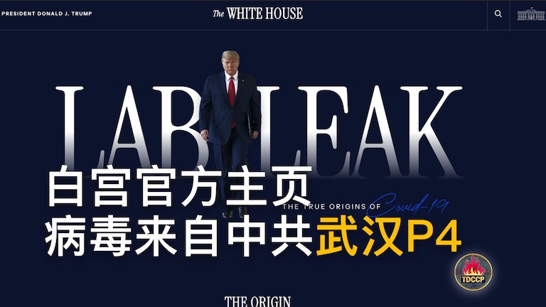 此刻，盘古时间： #2025年4月19日 #419
