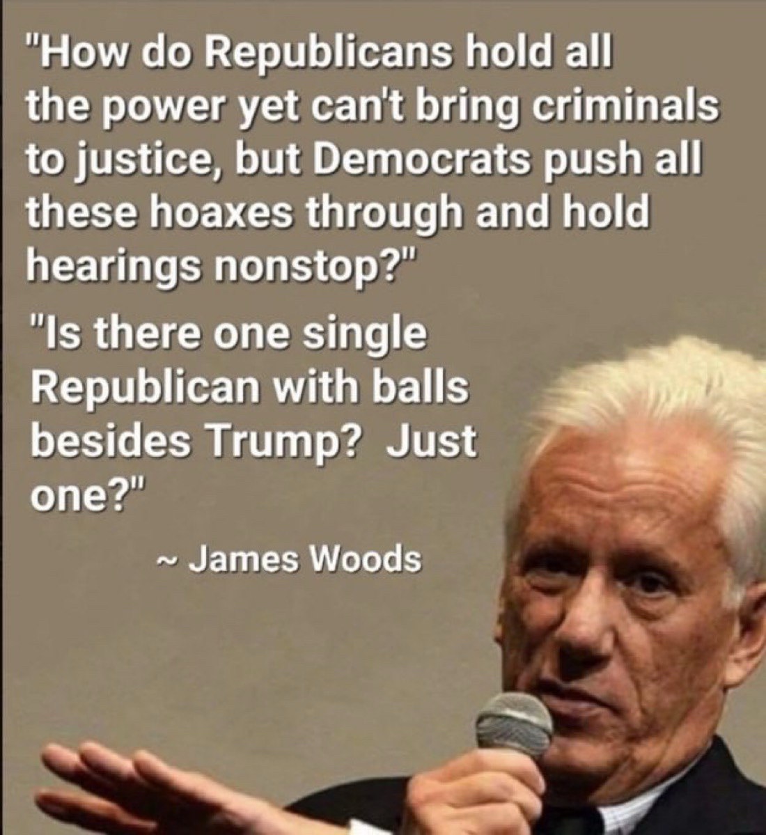 🔥IN HONOR OF JAMES WOODS’S BIRTHDAY, HERE’S ONE OF MY FAVORITE QUOTES BY HIM 🦅🇺🇸