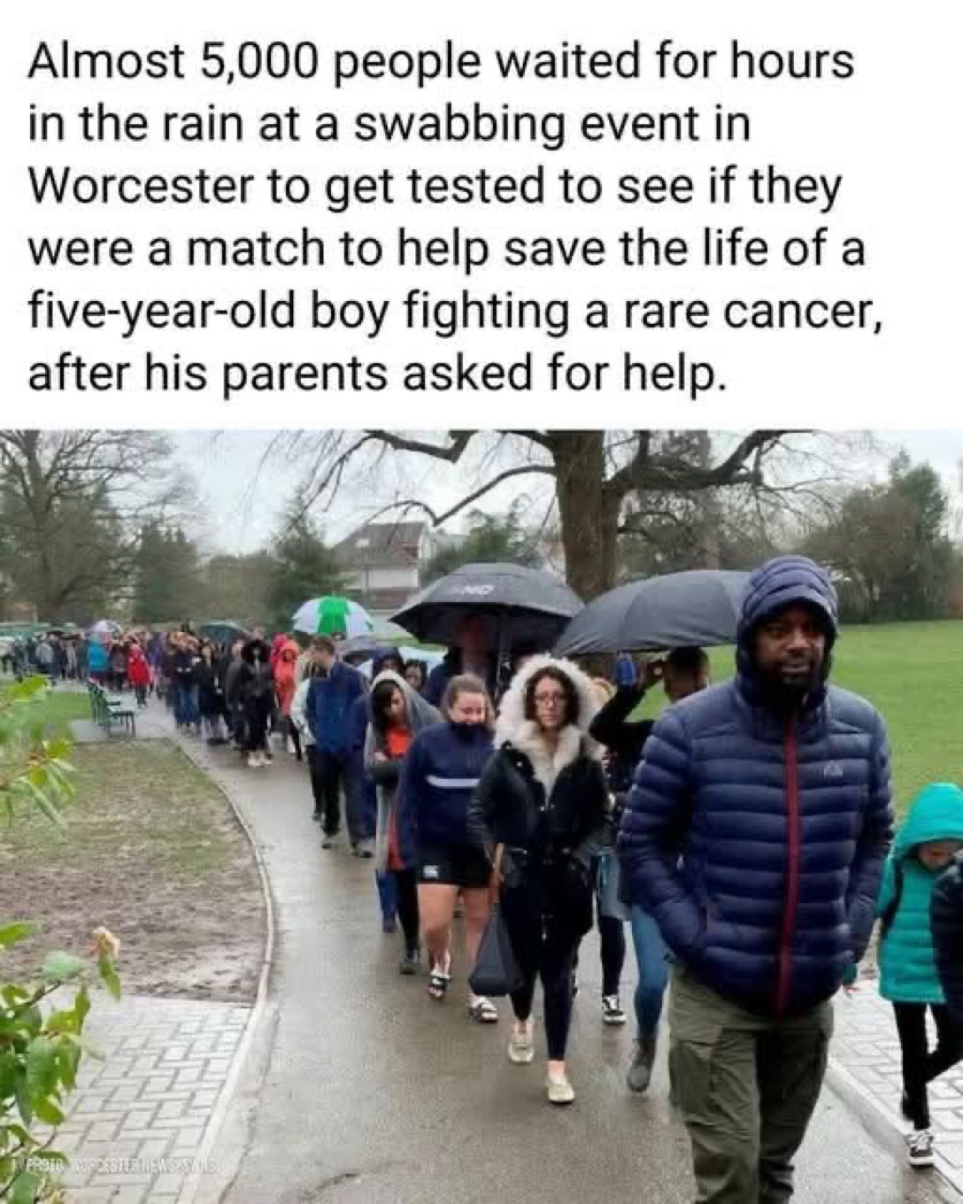 Restores Faith In Humanity. ✝️🌿