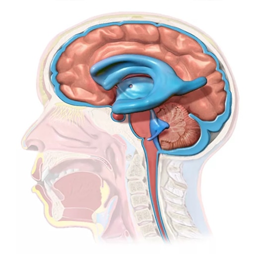 Hydrocephalus Shunts Market to Grow Amid Technological Advancements


 Hydrocephalus shunts are medi...