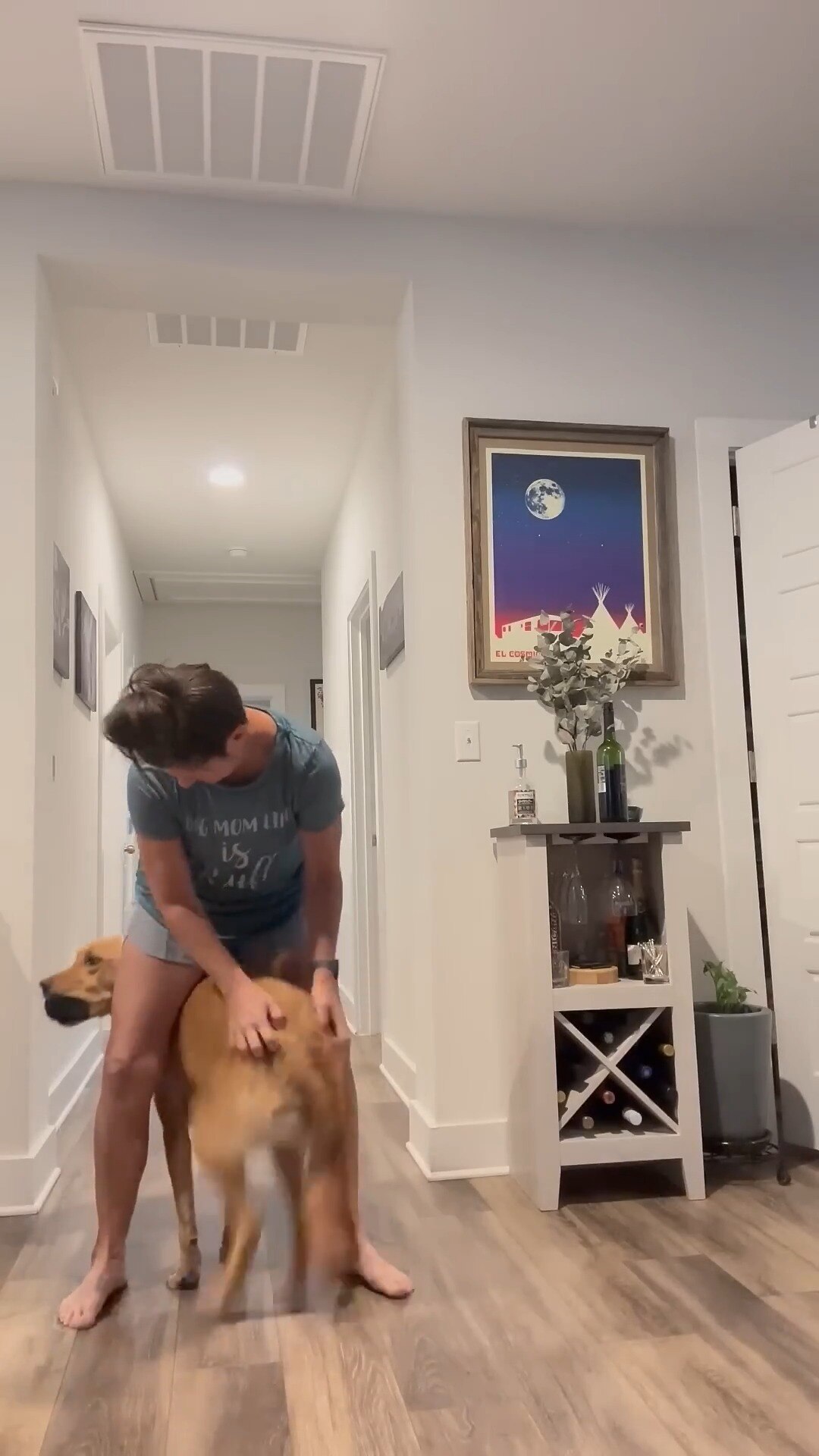 The Absolute FUNNIEST Pets Of The Week 😹 🤣🐱 #Cats #Dogs #Birds #FunnyAnimals #Meme 
