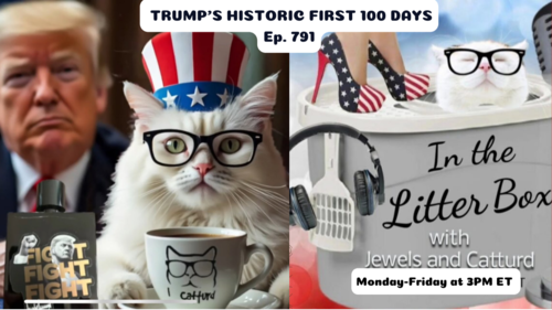 DEI DEATHTRAP | In the Litter Box w/ Jewels & Catturd – Ep. 790 – 4/28/2025