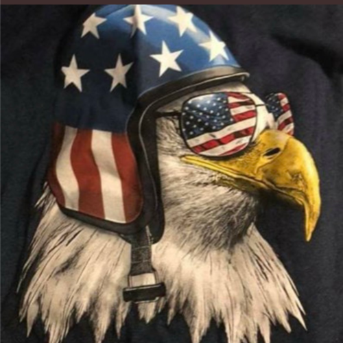 The Cynical Patriot:#MAGA Progressives are EVIL!#AdministrativeState is TREASON! #Conservative #NaturalLaw #RestoreOurRepublic #Military:Nuke The #RINOs& #DINOs