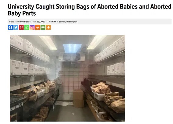 View Chuck Lawler's post on GETTR. Join the discussion, share your thoughts, and connect with the community.