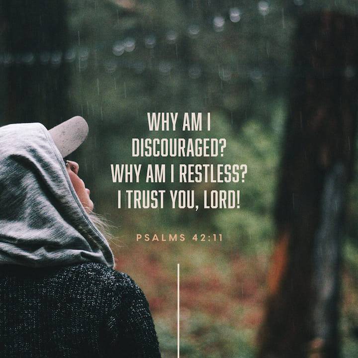 View brassring's post on GETTR. Join the discussion, share your thoughts, and connect with the community.