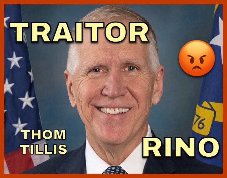 Trump pulls Martin confirmation after revealing Tillis was secretly scheming with Democrats.
https://revolver.news/2025/05/trump-pulls-martin-confirmatio