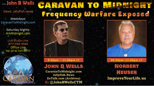 Frequency Warfare Exposed - John B Wells LIVE