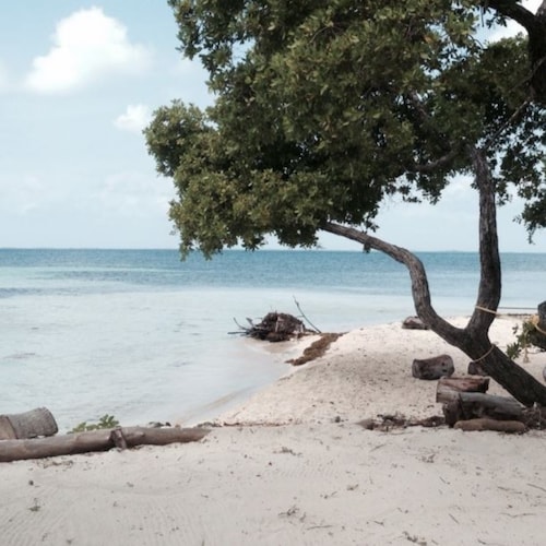 Think for MYSELF Follow A lot for different POINTS of View & OPINIONS  Over 85 yrs. old & over 55 yrs in LV. NV. Bartend...