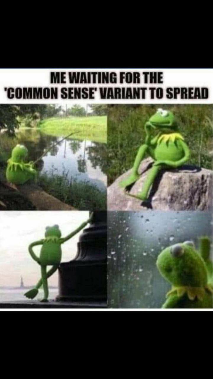 View bean1's post on GETTR. Join the discussion, share your thoughts, and connect with the community.