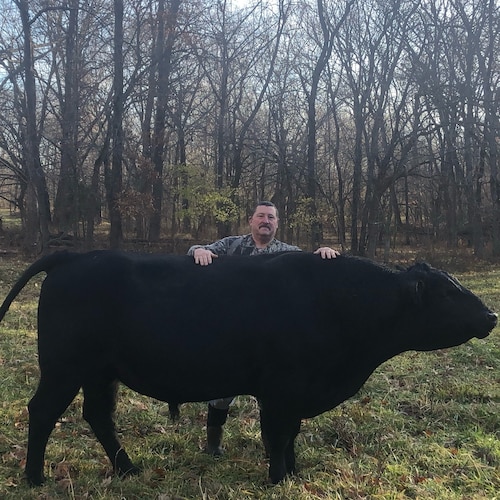 A True Conservative that Believes in True Freedom and will fight to keep what we have left of it! Hopefully Trump will e...