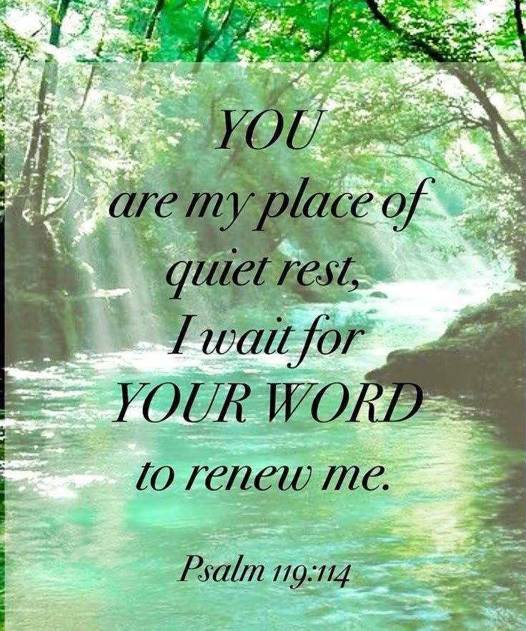 View LynnV's post on GETTR. Join the discussion, share your thoughts, and connect with the community.