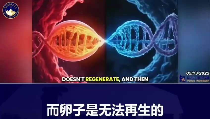 Dr. Nicolas Hulscher: Our public health agencies, acting on the instructions of biopharmaceutical gr...