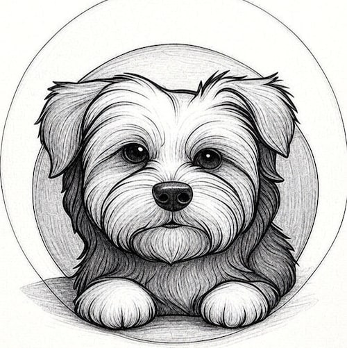 Patriot🇺🇸 Traditional American Values and Ethics. I block trolls and tards.