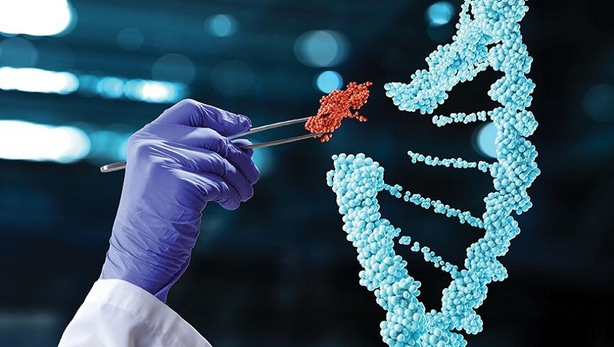 Genome Editing Market Set to Surge with CRISPR Advances

 The genome editing market employs advanced...