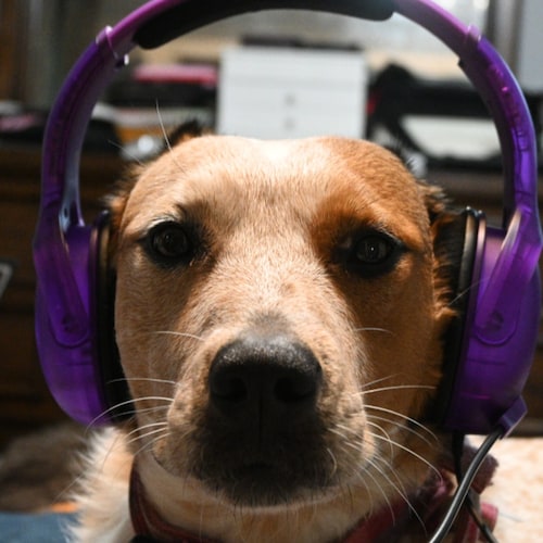 Editor-in-Chief and Founder of https://www.ChristCenteredGamer.com which provides game reviews from a Christian perspective.