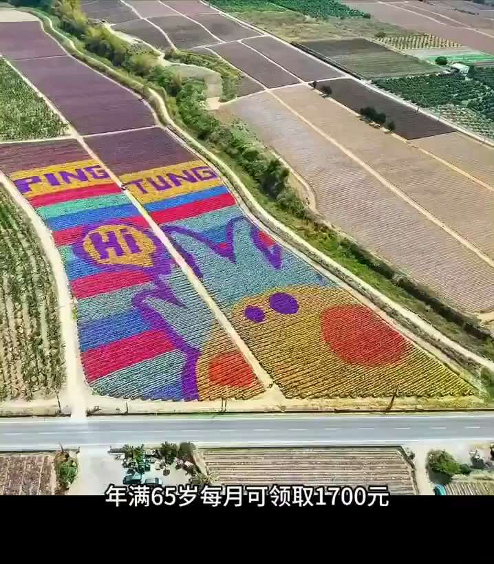 你或许不知道的台湾 ：
 1、儿童出生到4岁都有生活补贴 ！
 2、幼儿园一直到高中全部免费，还免费供应午餐 ！ 
 3、妈妈照顾孩子无法上班可以从政府领取补贴和工资！ 
4、孩子成年后,买房子可以享...