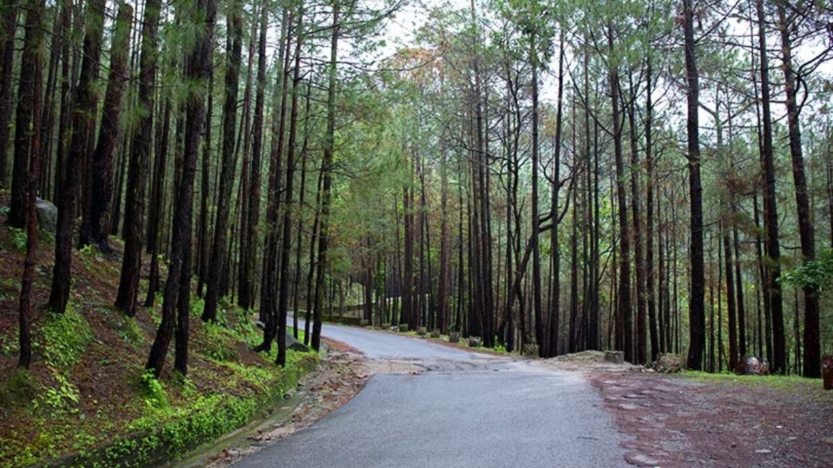 Where can we go for one day trip from Noida?

For a summer one-day trip from Noida Lansdowne is a pe...