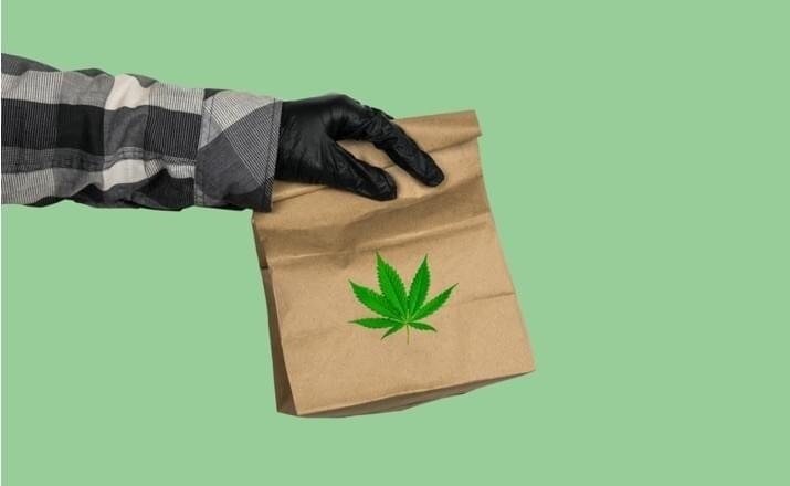 Revolutionizing Cannabis Convenience: STIIIZY and Camino Delivery Services in Orange County and Beyo...