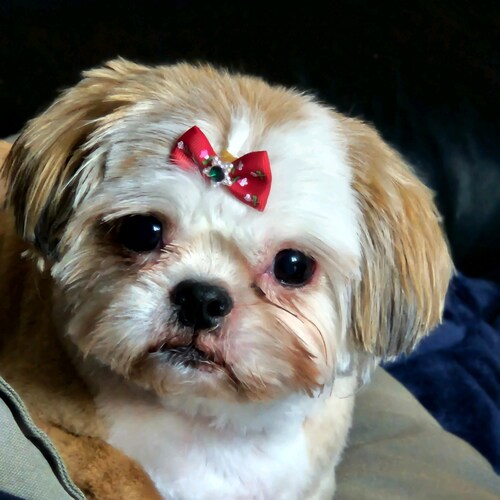 Visit TRACY's profile on GETTR. View their posts, photos, videos, and connect with them on the social platform.