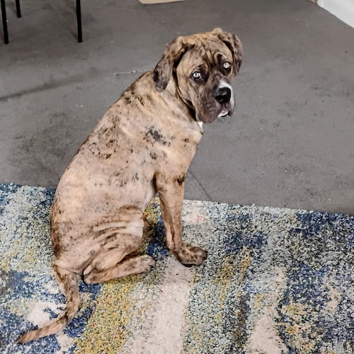 Live in Scotland 
🏴󠁧󠁢󠁳󠁣󠁴󠁿
Christian values 
 Referral Code:FJ748 
 Share Link: https://onelink.shein.com/13/4rxlz...