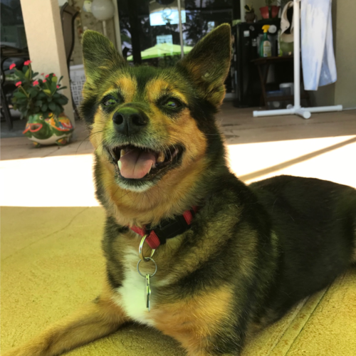 Visit navysk's profile on GETTR. View their posts, photos, videos, and connect with them on the social platform.