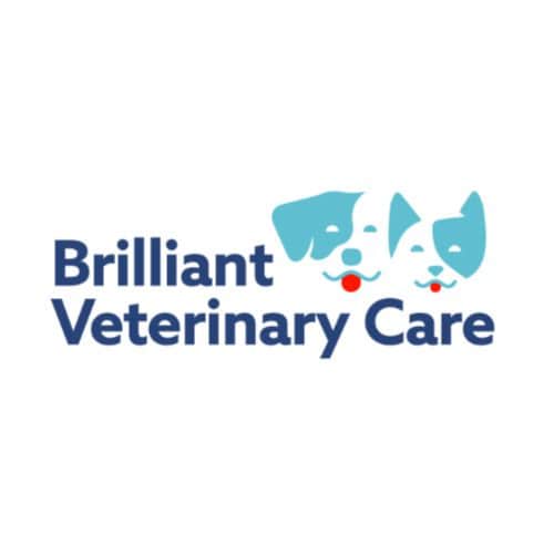 we at Brilliant Veterinary Care think that a public practice better meets the needs of Upper West Side Manhattan patient...