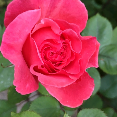 Visit tink82much's profile on GETTR. View their posts, photos, videos, and connect with them on the social platform.