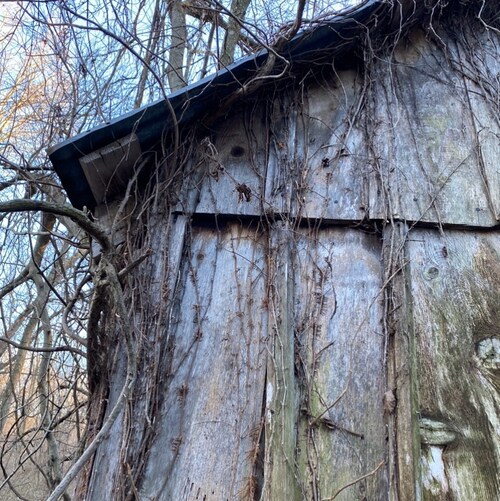 Visit Kimberly B.'s profile on GETTR. View their posts, photos, videos, and connect with them on the social platform.