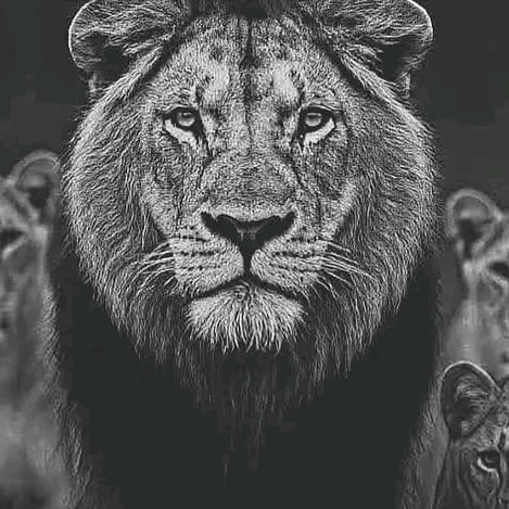 Deus,  Família, Cristão  reformado, não aceito vans doutrinas, só a graça, só a fé, só Cristo, só as escrituras, só a  Y...