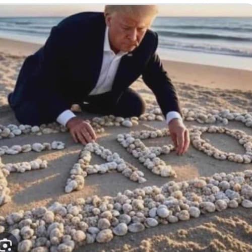 AKA (Beyond) One Fed Up Cali Girl
Knowledge is power. 
November 5, 2024 is Christian Visibility Day!
Trust in God, use d...