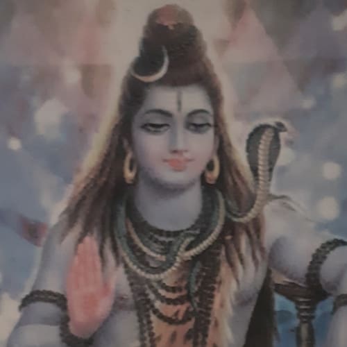 Visit Rise Up America !'s profile on GETTR. View their posts, photos, videos, and connect with them on the social platform.