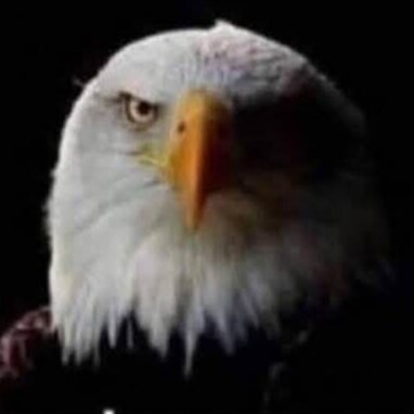 'F00D4thought,... GOD´s Son (Jesus)¨KING of kings¨ yet the letter J is a mere 600 years old ?