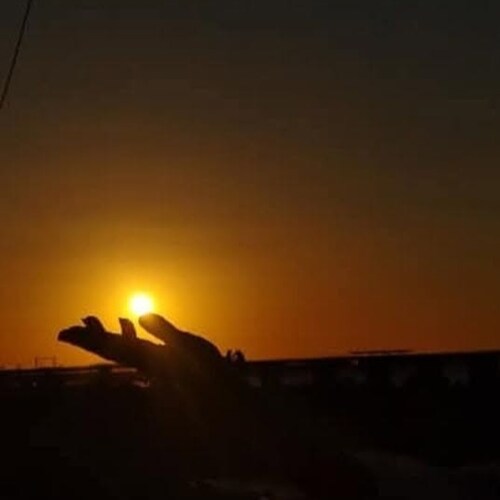 Visit CLaudenir Augusto's profile on GETTR. View their posts, photos, videos, and connect with them on the social platform.