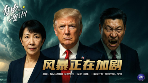 《自由澳洲》 第95期
主题：風暴正在加劇
嘉賓：NA NA娜娜 滅共文飛 一朵花
導播：一苇大江東
海報：新兵入列
策劃主持：安紅