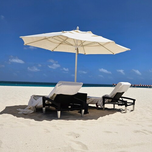 American born, grew up in Canada when it was what we called "God's Country". Sadly no more. I am America First and Maga ...