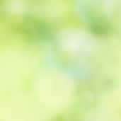 Visit Icebird's profile on GETTR. View their posts, photos, videos, and connect with them on the social platform.