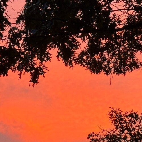 Freedom of Speech, NOT Freedom of Reach…Right Gettr 😜 
“Charity never faileth: but whether there be prophecies, they sh...