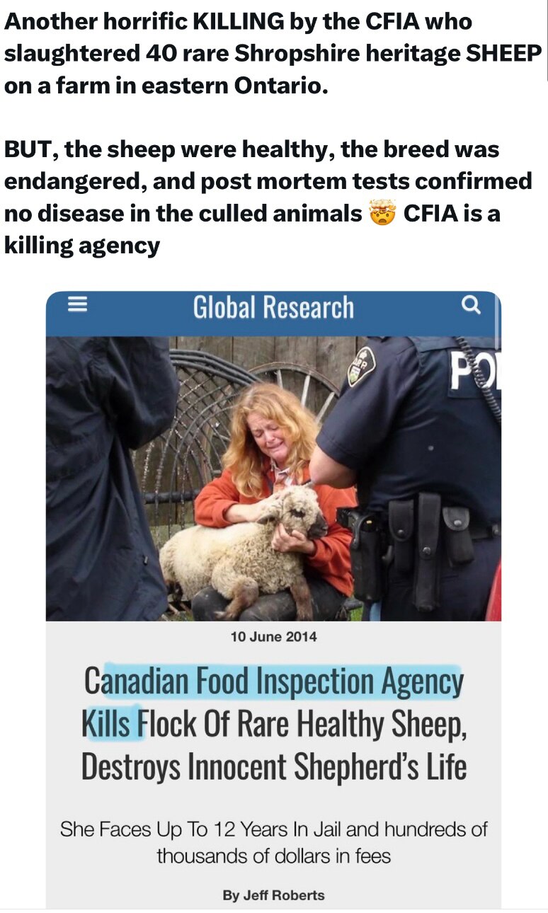 What the heck are you doing Canada?