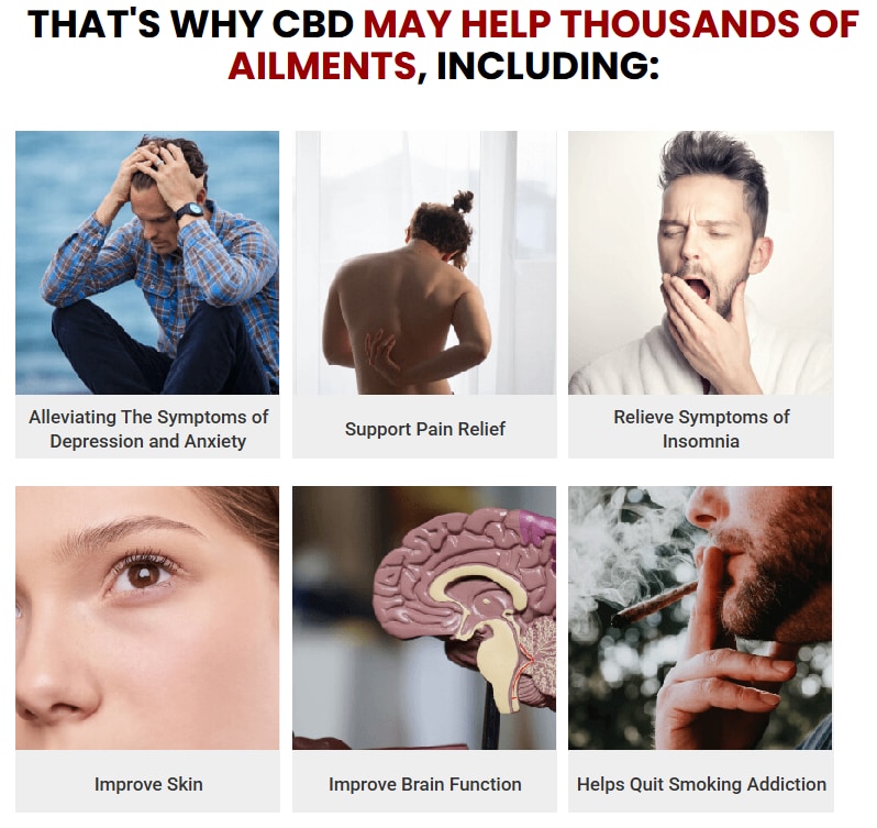Forest Mountain Farms CBD Gummies

❗❗❤️Shop Now❤️❗❗

https://www.facebook.com/ForestMountainFarmsCBD...