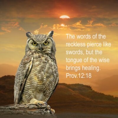 Buy the truth, and sell it not; also wisdom, and instruction, and understanding. Prov.23:23
✝️ GOD ❤️FAMILY🗽COUNTRY🙏 ...